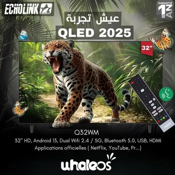 TV QLED 32" - ECHOLINK - Q32WM - WhaleOS - Bluetooth - Support Gratuit