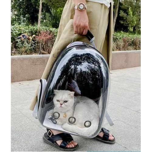 Sac à dos de transport pour animaux, respirant, petit chien, chat, voyage, espace, Cage à capsules