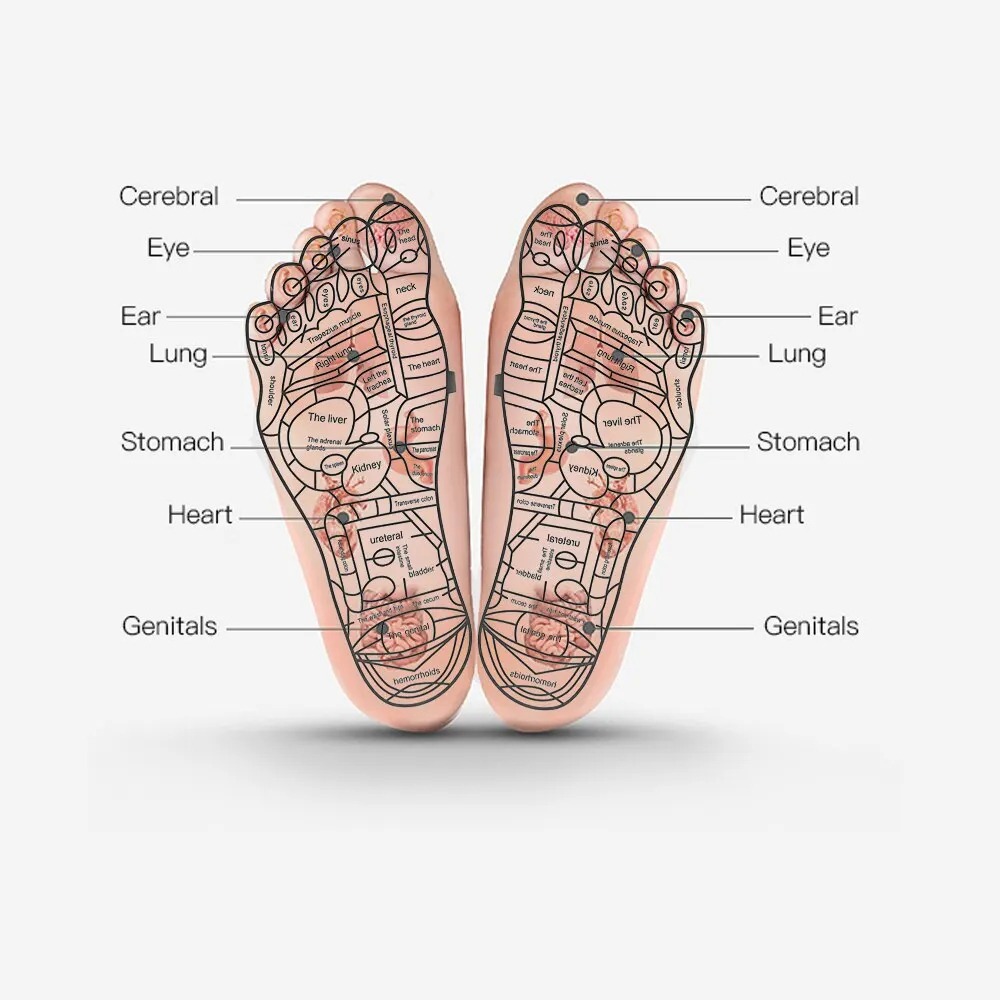 Image de EMS-Coussin : Appareil de massage pour pieds avec technologie EMS - Unbranded