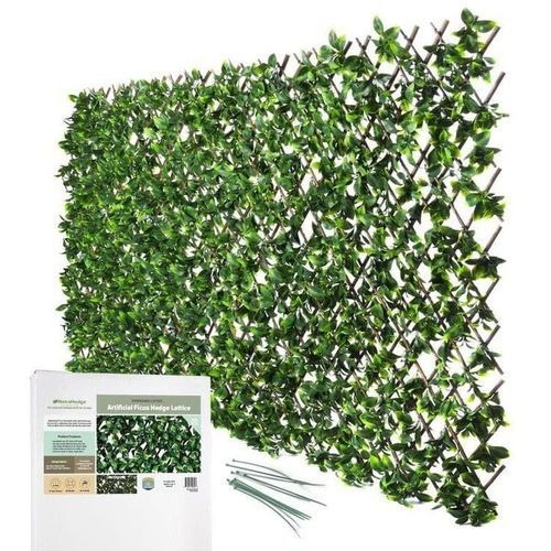 Image de brise-vue Séparation Rouleau - Unbranded