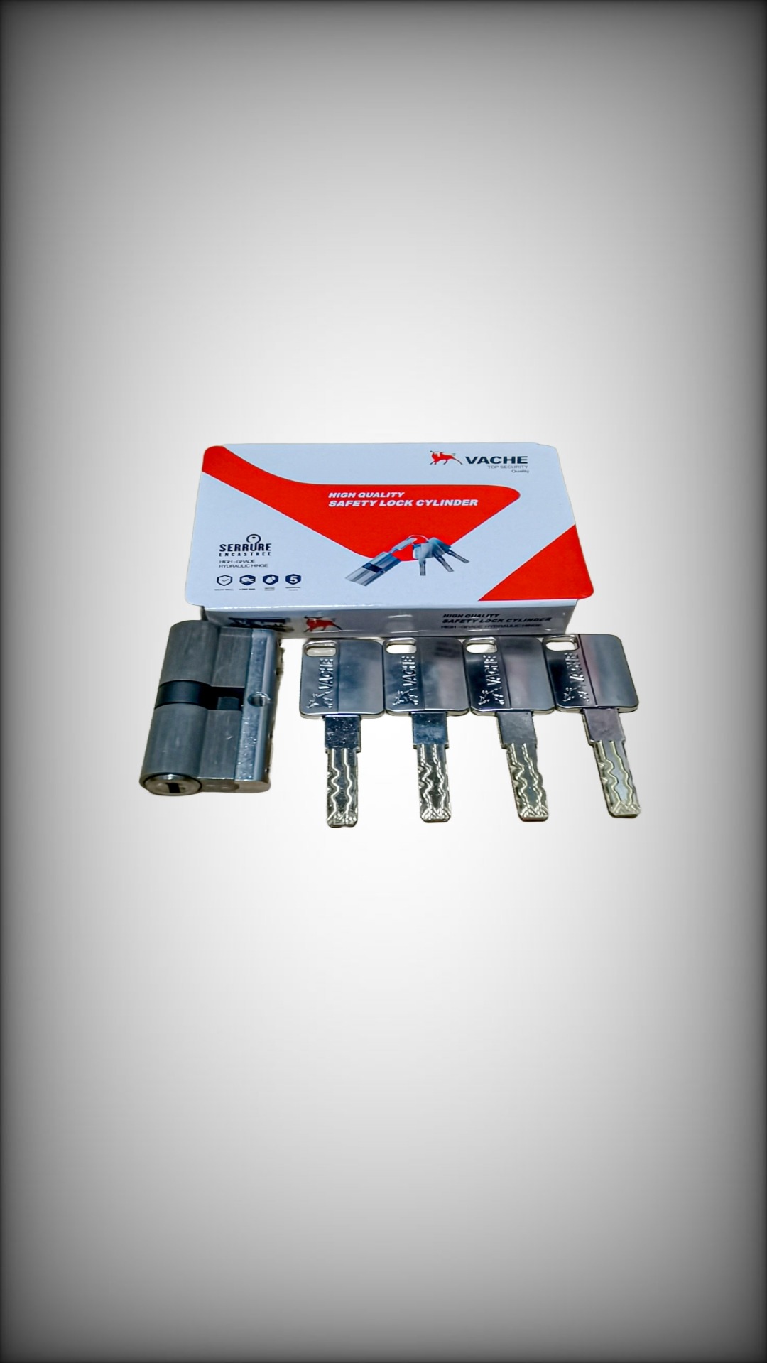 Cylindre de Serrure de Sécurité VACHE