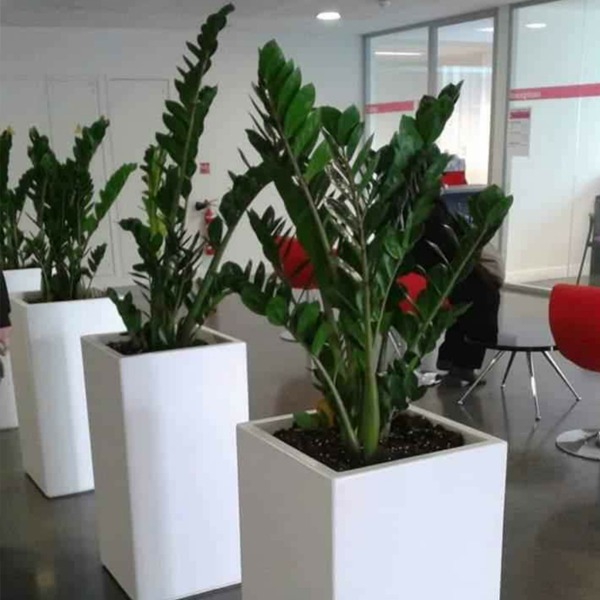 Image de Pot en Résine Carré 80x35 cm – Design & Résistance - Unbranded